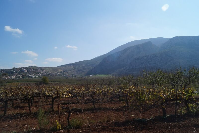Agios Vasilios