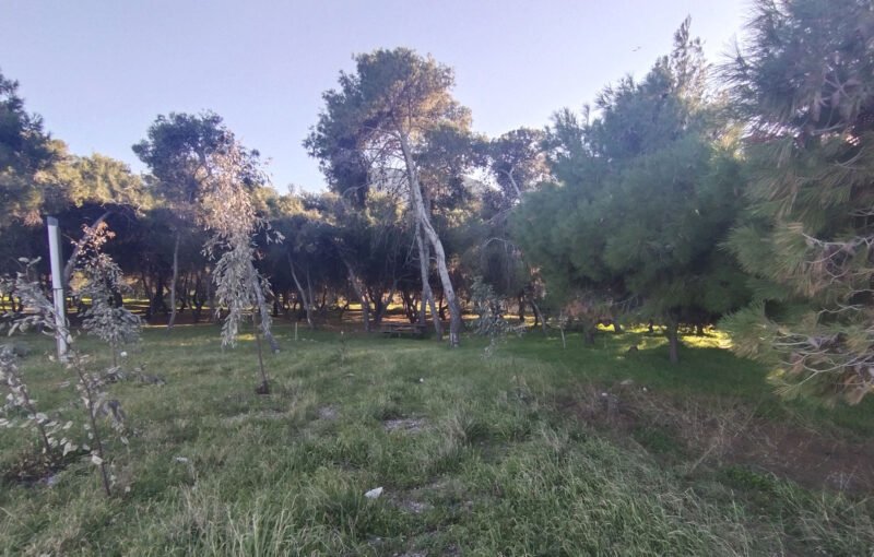 Παραλία Λουτρού (Δασύλλιο)