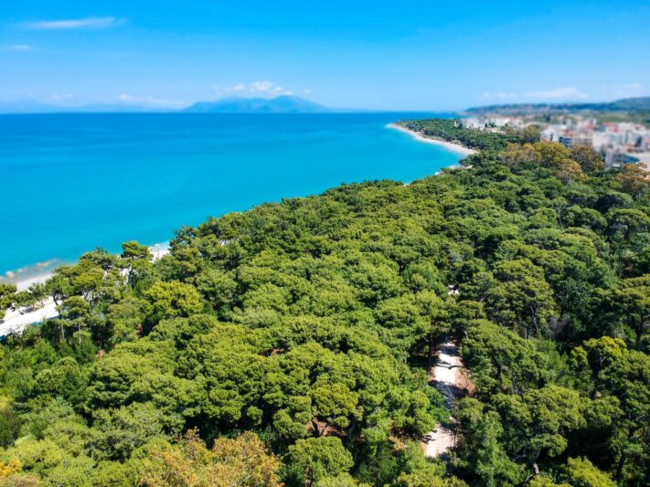 Ξυλόκαστρο