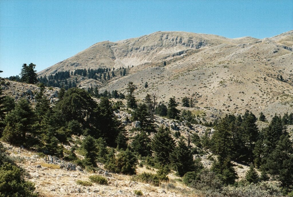 Ζήρεια (Κυλλήνη)