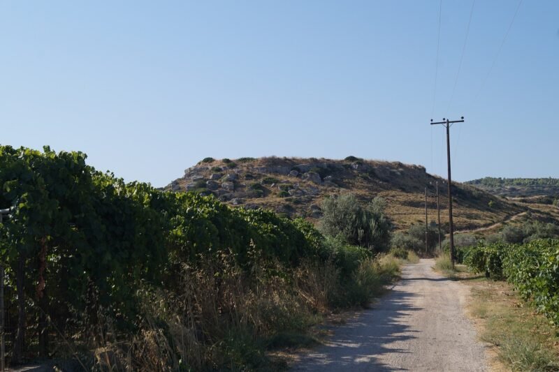 Aetopetra