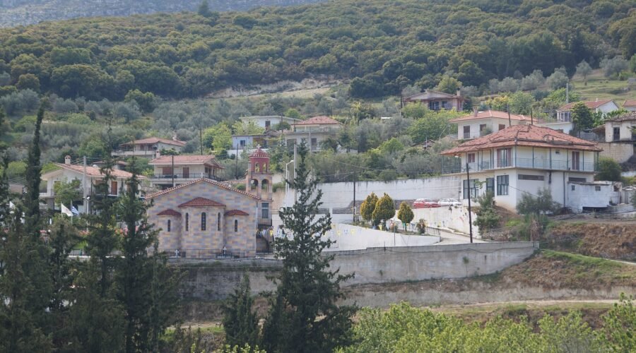 Mogostos Oak Forest: An Ancient Forest Refuge in Corinthia