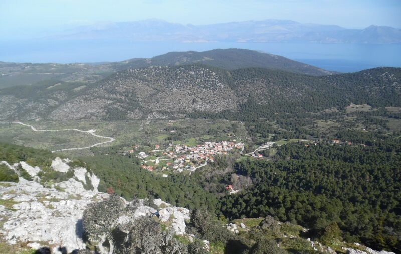 Pisia
