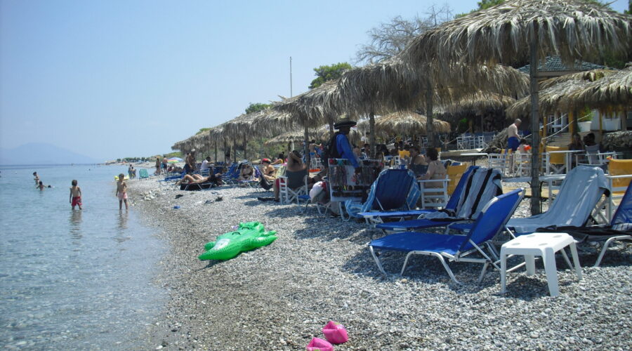Xylokastro Guide: Pefkias Forest and Pristine Beaches