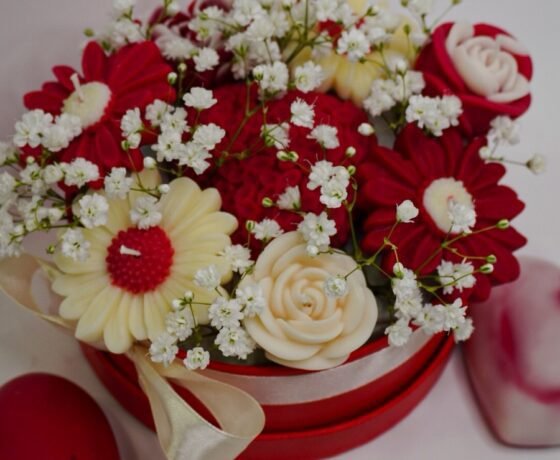 εικόνα_Viber_2026-02-25_16-05-05-993