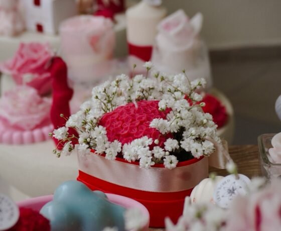 εικόνα_Viber_2026-02-25_16-05-06-277