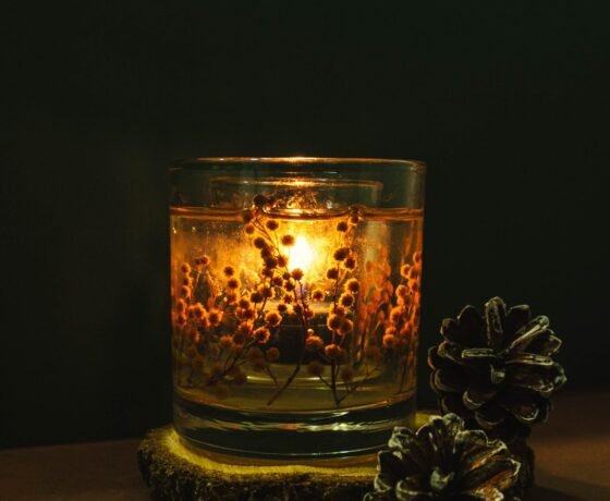 εικόνα_Viber_2026-02-25_16-05-06-590