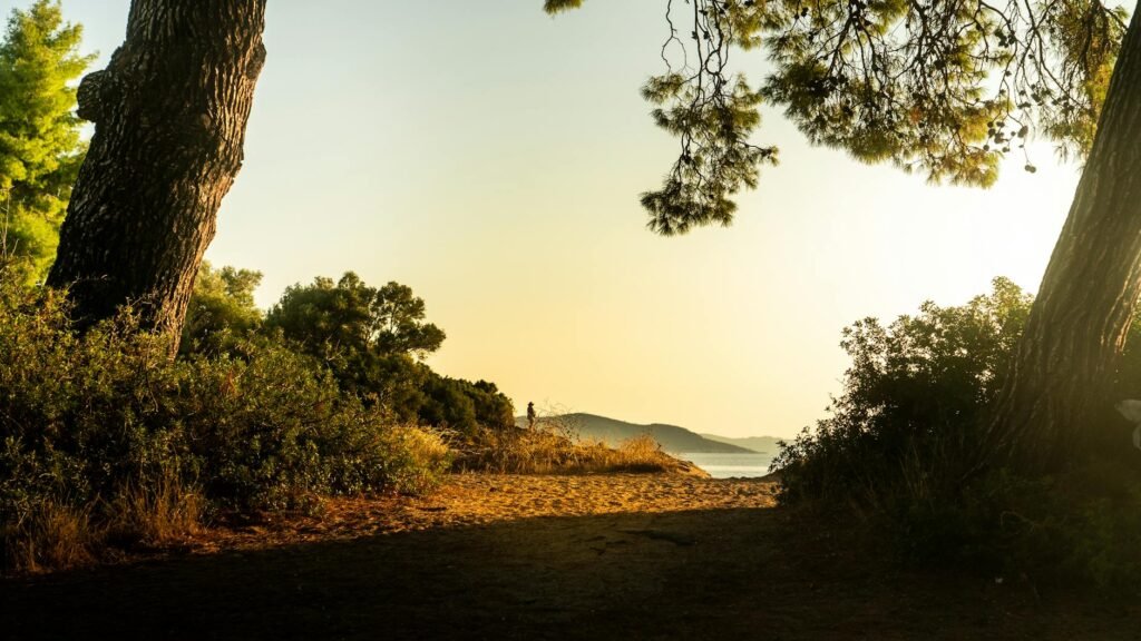 Vc xylokastro riviera